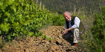 Clos Figueras