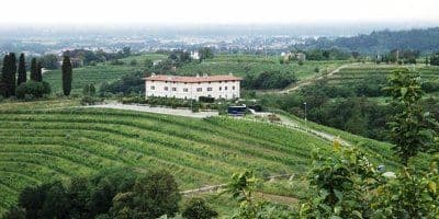 Le Vigne di Zamò