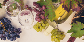 Vins Écologiques